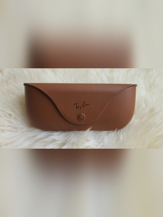 Ray-Ban Handbags - Ray-Ban Meta Brown Sunglasses Case